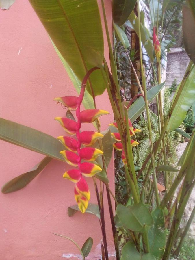 Pousada Portal Das Flores Araquari Zewnętrze zdjęcie